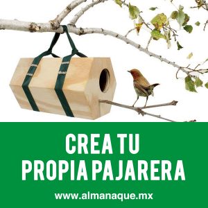 maderas-hidalgo-pajarera-blog-almanaque-mx