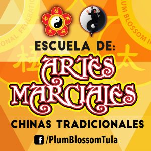 escuela-de-artes-marciales-chinas-tradicionales-almanaque-mx