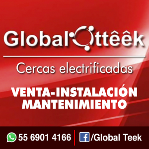 global-teek-seguridad-automatizada-venta-instalacion-mantenimiento-jesus-ramirez-almanaque-mx-tepeji-del-rio-tula-de-allende