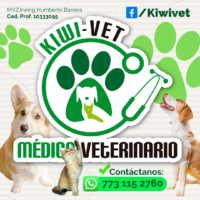 kiwi-vet-medico-veterinario-mvz-irwing-humberto-barrera-consultas-vacunas-cirugias-ortopedia-consume-local-2026-almanaque-mx-calle-ignacio-ramirez-en-tepeji-del-rio-hgo